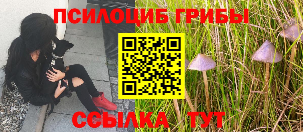 Псилоцибиновые грибы GOLDEN TEACHER  Вход с VPN  наркота  Унеча 